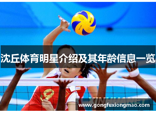 沈丘体育明星介绍及其年龄信息一览